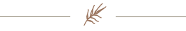 Ornate fern icon underline