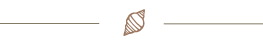 Ornate shell icon underline